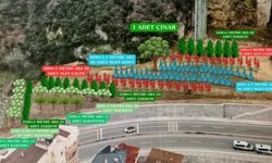 700 ADET FİDAN TOPRAKLA BULUŞACAK