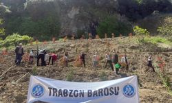 TRABZON BAROSU'NDAN "DOĞA VE HUKUK ORMANI"