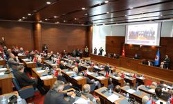 SOKAK HAYVANLARI KONUSUNDA DUYARLILIK BEKLİYORUZ