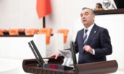 “FINDIK ÜRETİCİSİNİ BU ZARARLIYA EZDİRMEYİN”