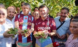 “FINDIK ÜRETİCİSİ, MALİYETİNİN ALTINDA ALINDIĞI İÇİN FINDIĞINI TOPLAMIYOR”