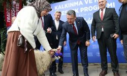 YERLİ KARAYAKA KOYUNU YAYGINLAŞTIRILACAK