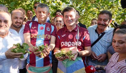 “FINDIK ÜRETİCİSİ, MALİYETİNİN ALTINDA ALINDIĞI İÇİN FINDIĞINI TOPLAMIYOR”