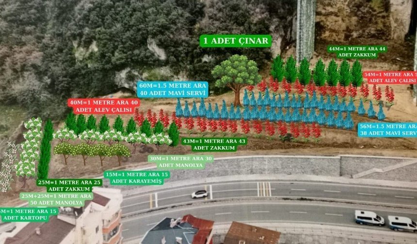 700 ADET FİDAN TOPRAKLA BULUŞACAK