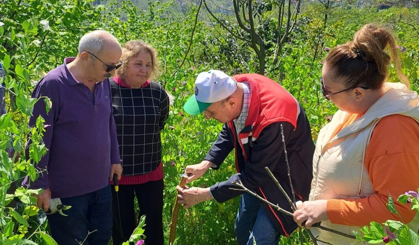 ÇUVALCI “HEM EKONOMİK HEM DE SOSYAL AÇIDAN ÖNEMLİ KATKILAR SUNUYOR”