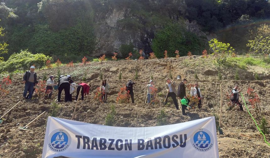 TRABZON BAROSU'NDAN "DOĞA VE HUKUK ORMANI"