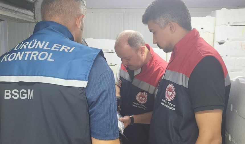 SATIŞ YERLERİNDE TAZELİK VE HİJYEN DENETİMİ YAPILDI