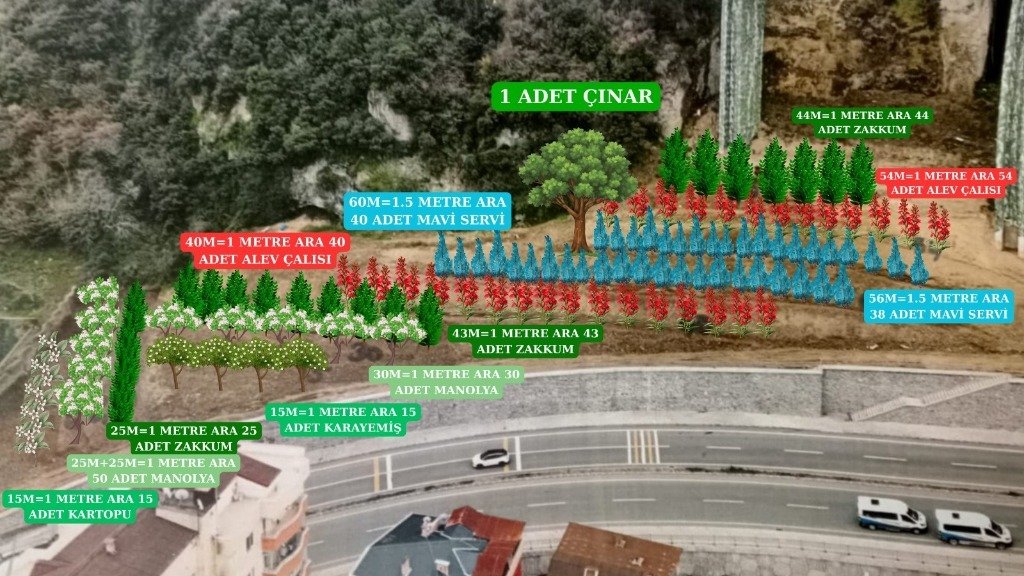 700 ADET FİDAN TOPRAKLA BULUŞACAK