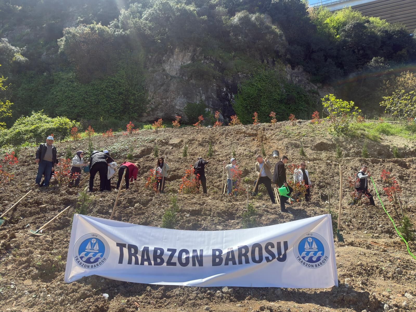 TRABZON BAROSU'NDAN "DOĞA VE HUKUK ORMANI"
